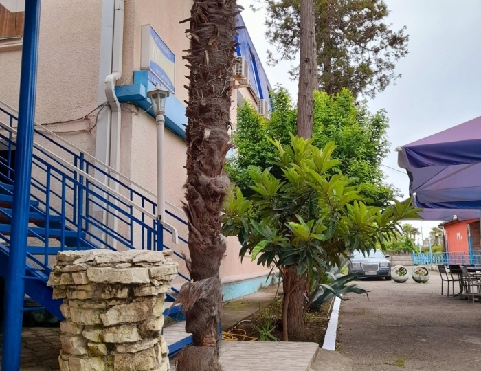 Отель «Мега 2» Гагра