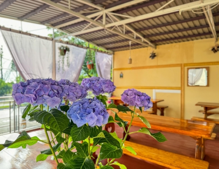 Отель «Мега 2» Гагра